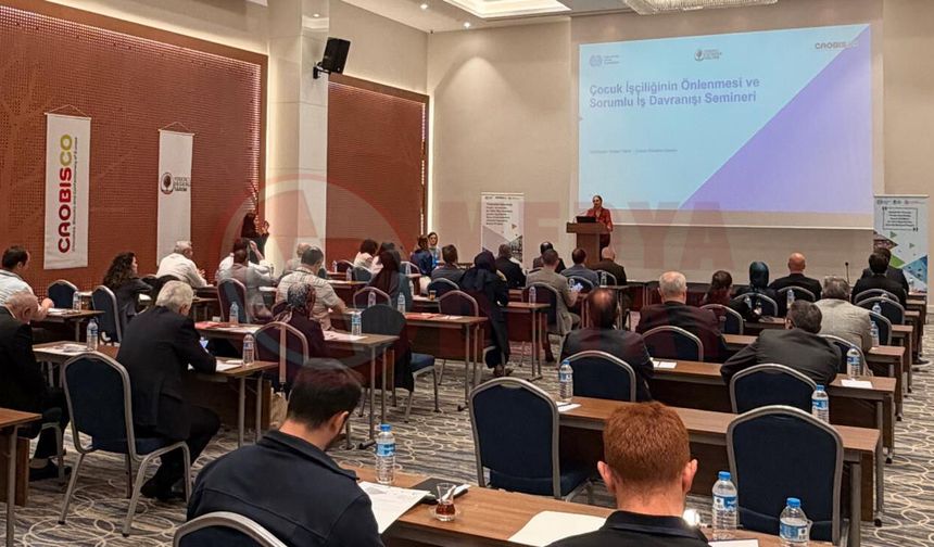 Fındık sezonu öncesi  çocuk işçiliğine karşı seferberlik