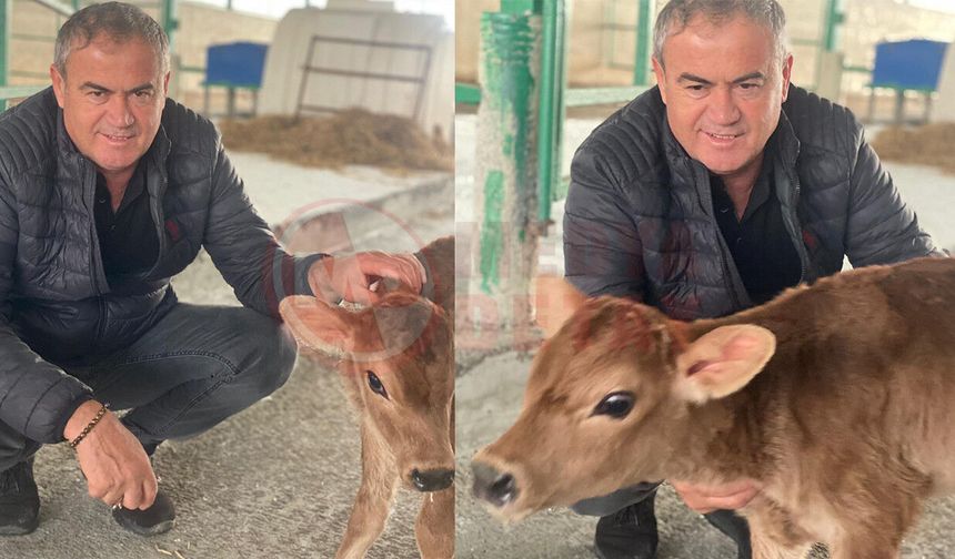 Kaynarca’da süt üreticisinden sert isyan
