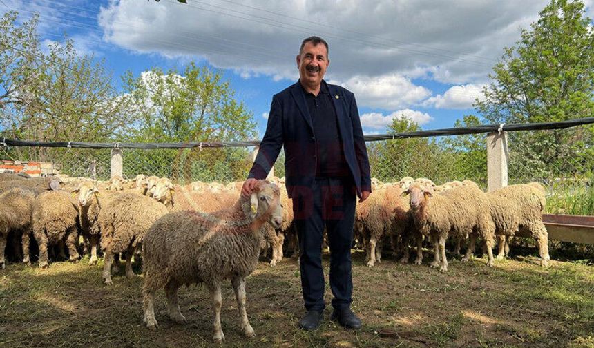Elde kalan kurbanlıklara ESK güvencesi