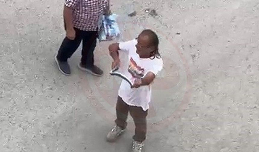 Paniğe sebep olan yılanı eliyle yakaladı!