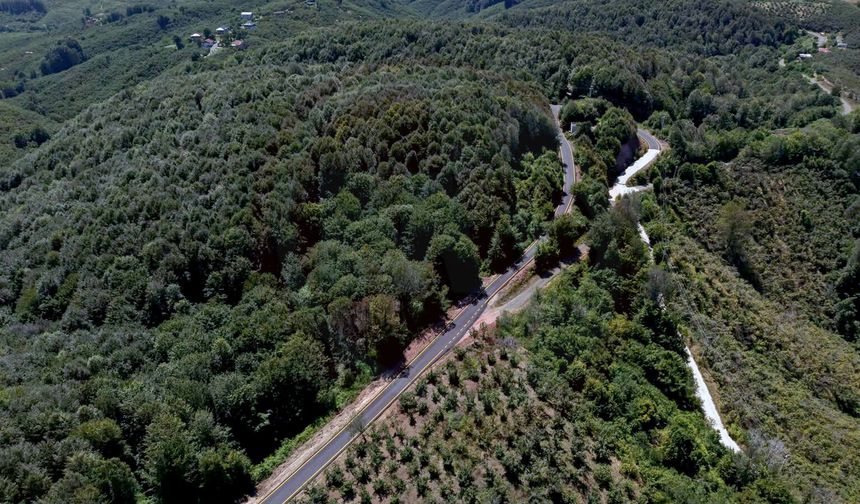 Yollar çizgilerle güvenli hale geldi