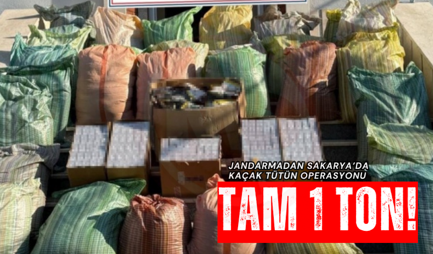 Jandarmadan tam 1 tonluk operasyon: 2 Gözaltı!