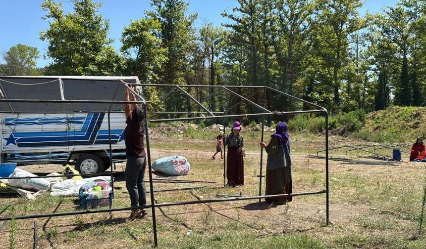 Fındık işçilerinin "Gurbet" mesaisi başladı