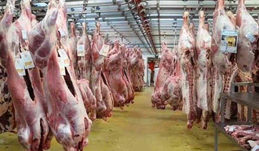 Sakarya’da dana eti 600 lirayı aştı