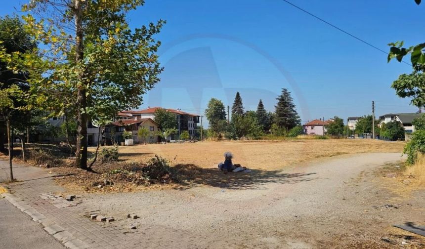 Hendek’te fındık harmanı yasağı!
