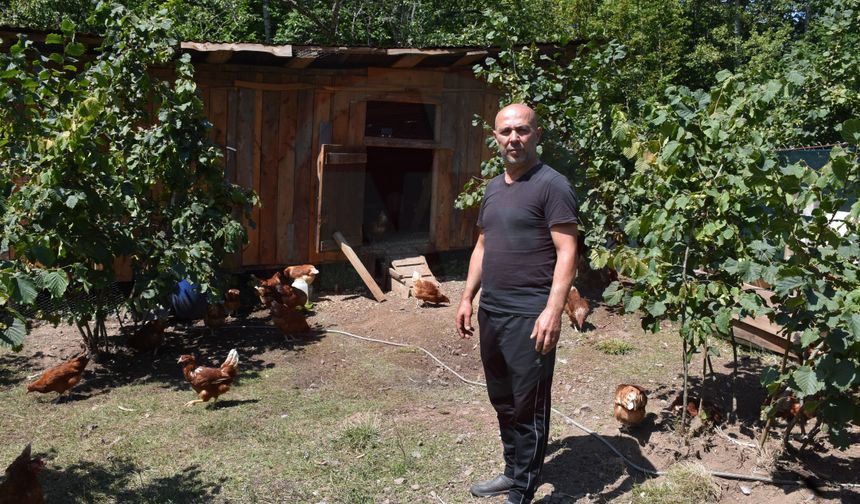 Dükkanını kapattı, köyünde hobi olarak başladı