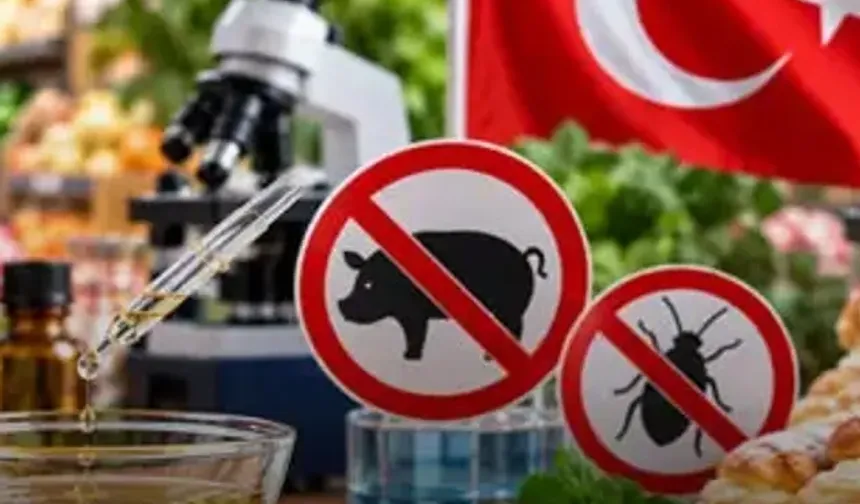 Domuz ve böcek kaynaklı aroma vericiler yasaklandı
