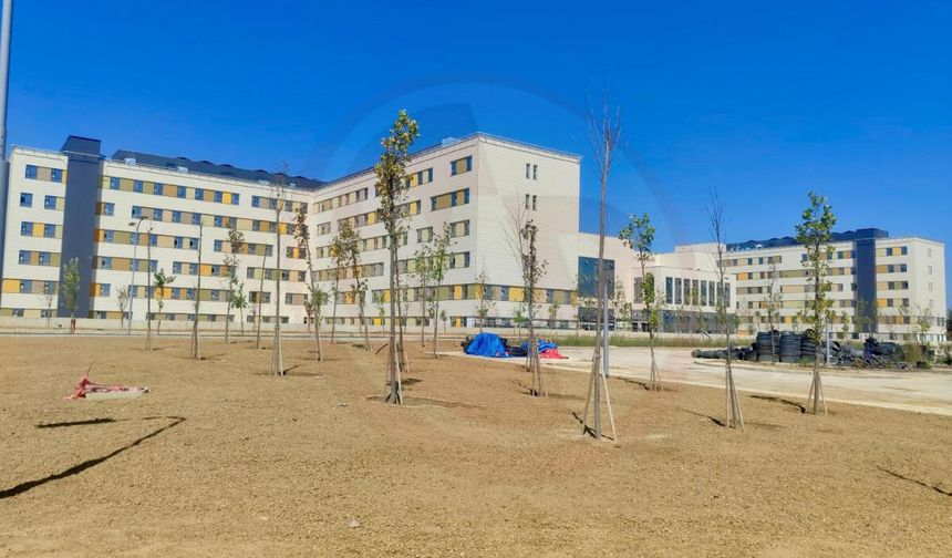 Aslıyüksek Sakarya’da incelemelerde bulundu