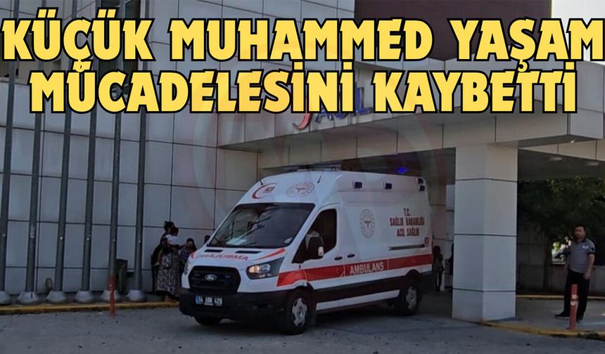 Küçük Muhammed yaşam mücadelesini kaybetti