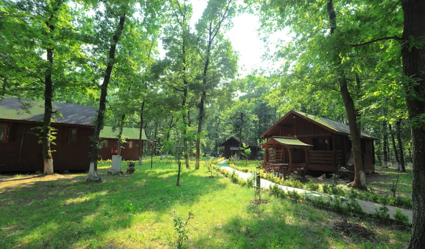 Sakarya İl Ormanı Bungalov Evleri misafirlerini bekliyor
