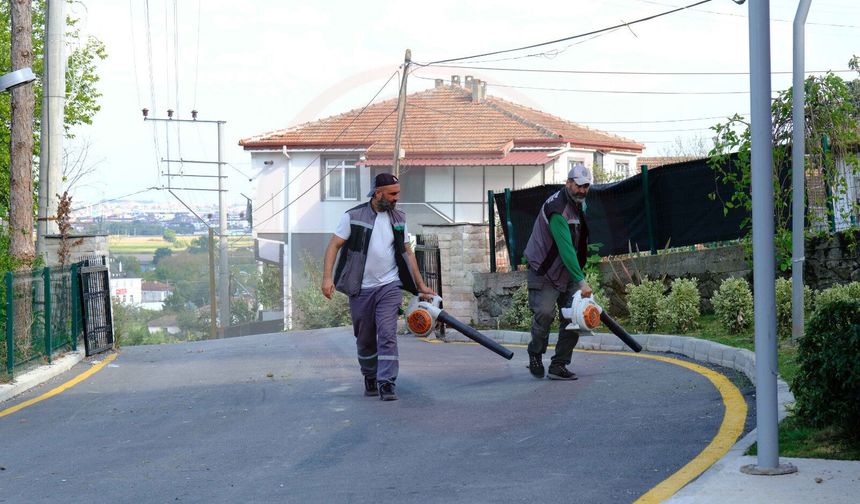 Ekipler sahada, otlar biçiliyor, çevre temizleniyor