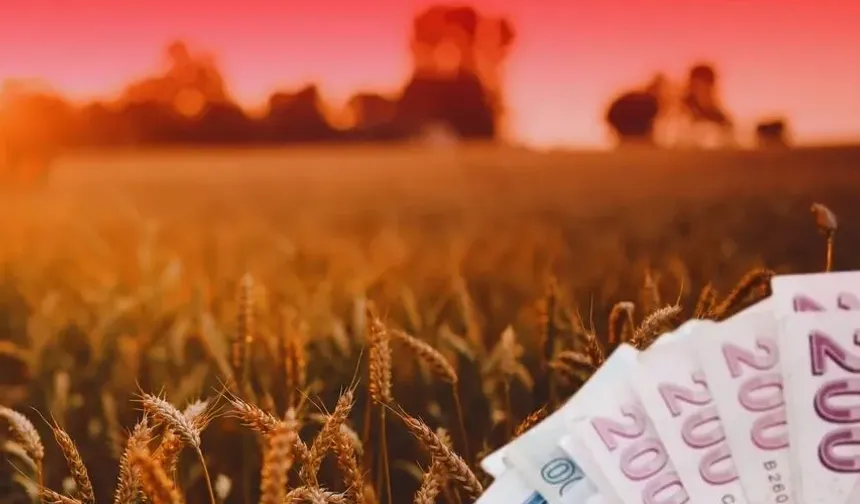 TMO'dan üreticiye 4,5 milyar TL'lik ödeme!