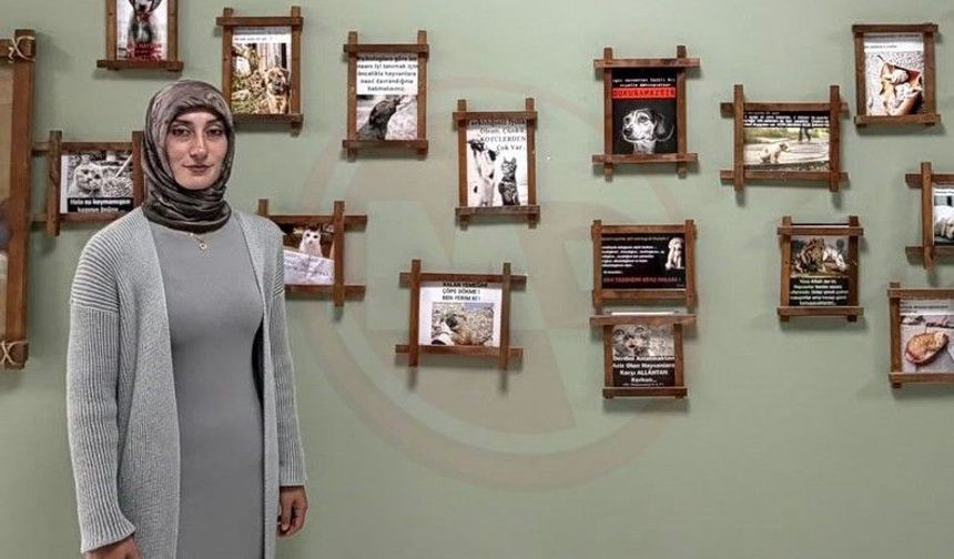 15 yıl önce hasta bir kediyle başladı