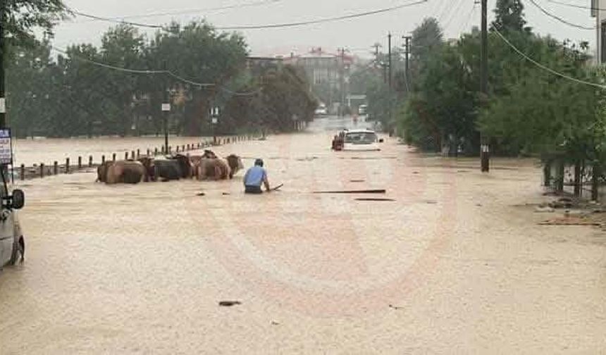İMO Sakarya’dan taşkın uyarısı