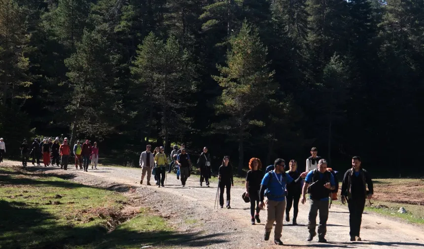 Sakarya'da sonbahar doğa yürüyüşleri devam ediyor