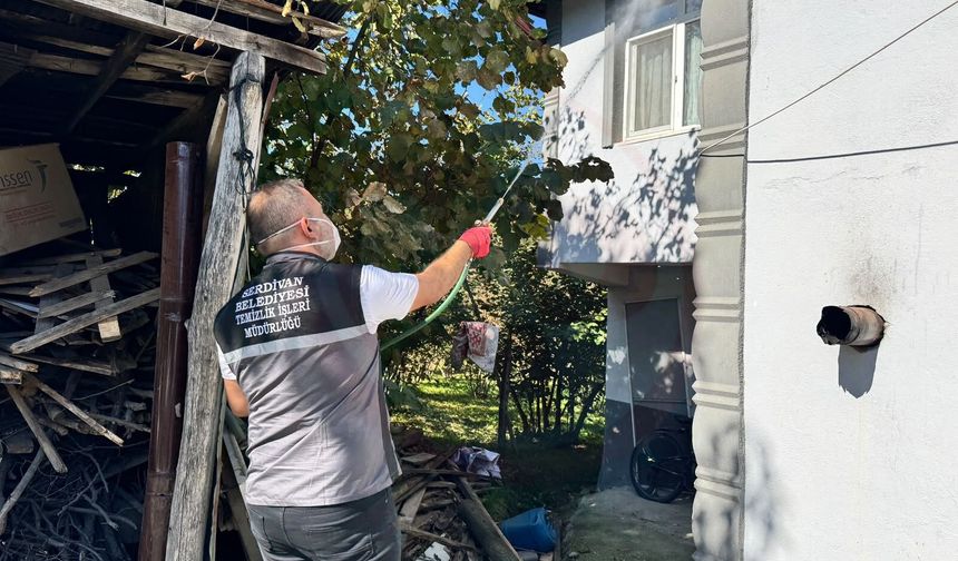 Serdivan’da kahverengi kokarcaya karşı ilaçlama seferberliği!