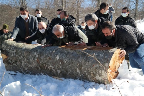 sakarya_orman_bolge2