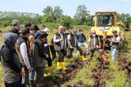 sakarya_orman_bolge3