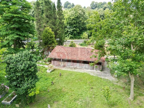 kelpasa_cami4