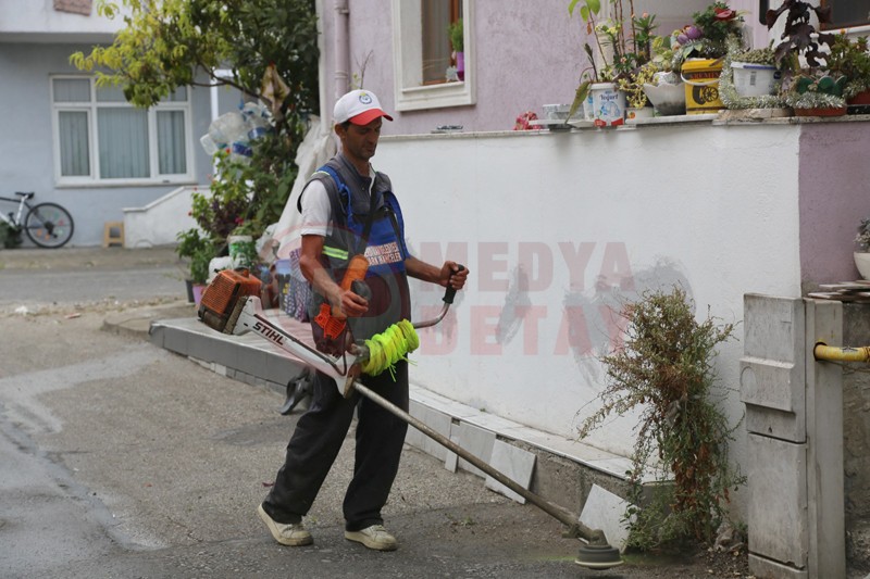 Serdivan Yaz Bakimi3