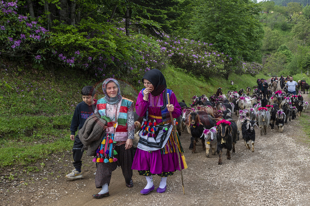 3.Lik Ödülü Cigdem Sorgut Yayla Yolculugu