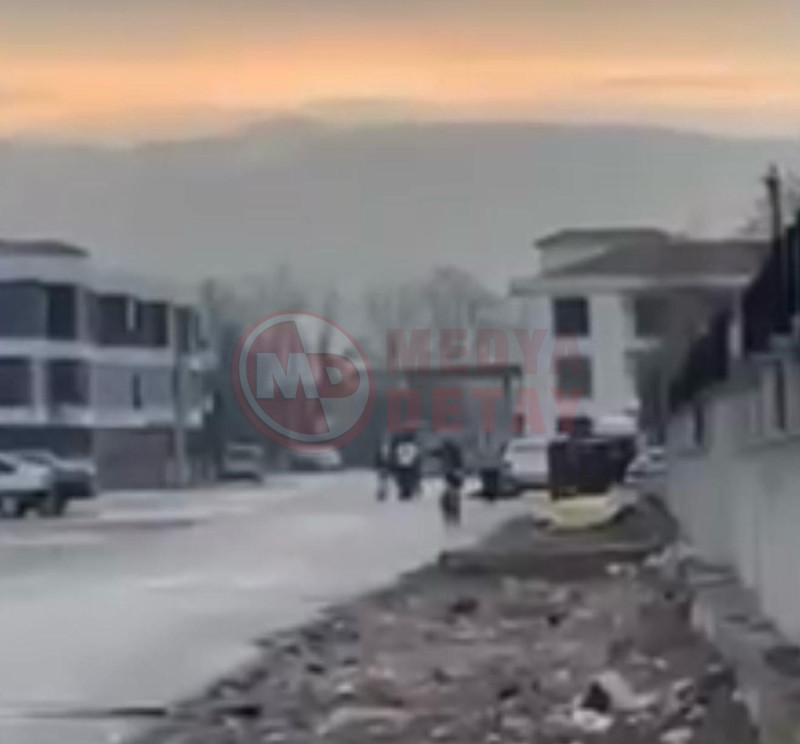 Kayinpederini Vurdu3