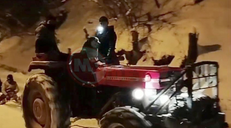 Sibirya Kurdu Kizak Yaptirdi3