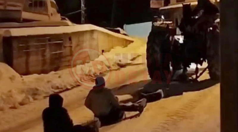 Sibirya Kurdu Kizak Yaptirdi4