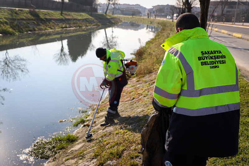 Cark Deresi Temizlik2