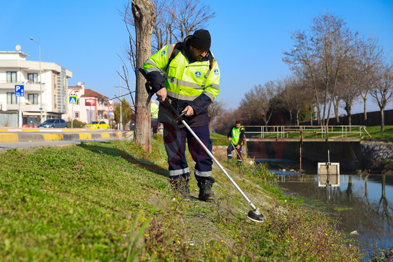 Cark Deresi Temizlik3
