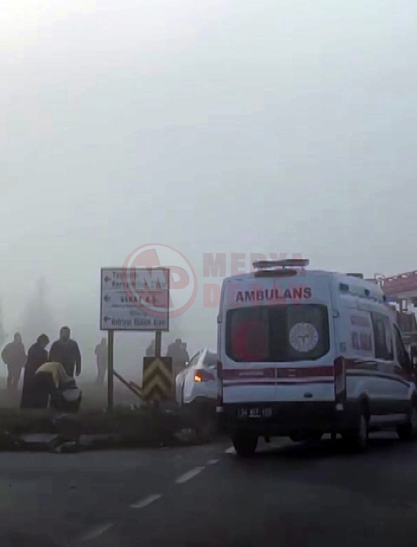 Kavsakta Carpistilar6