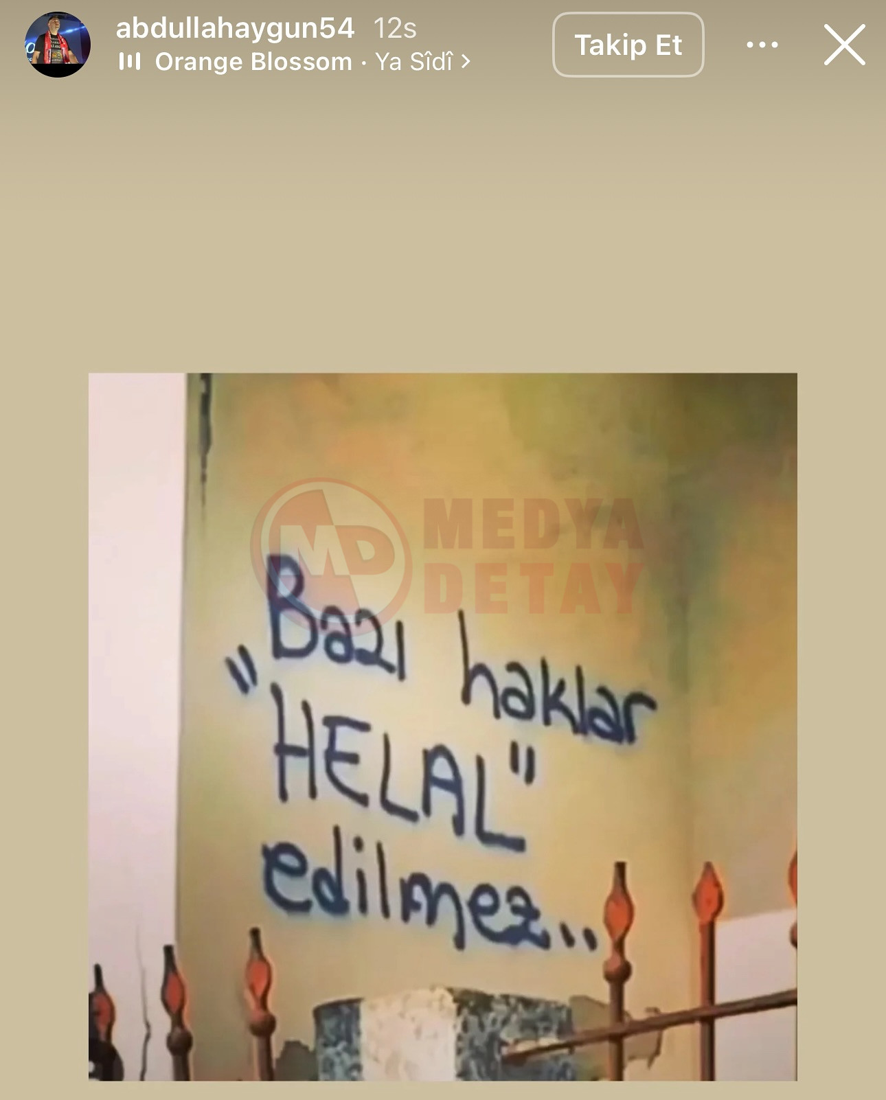 491460455 17961327500915342 5035483148785777315 N