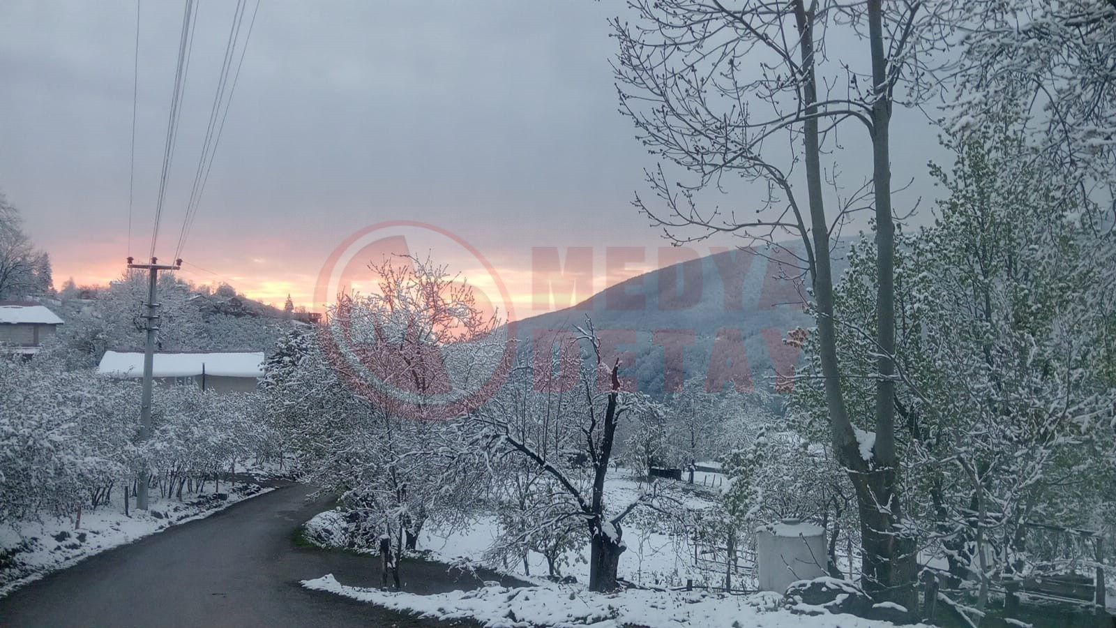 Sakarya Bahar Kar (1)