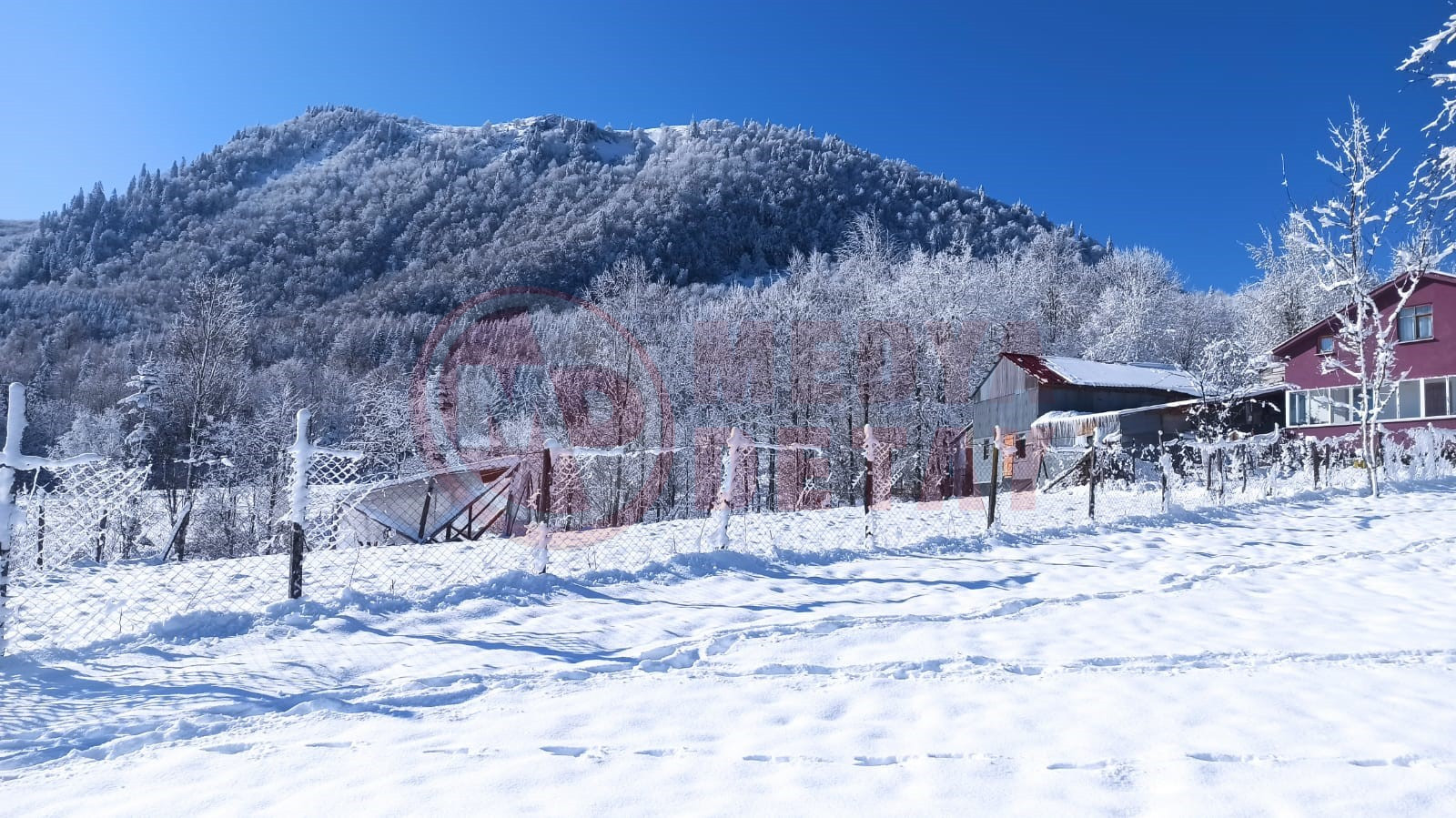 Sakarya Bahar Kar (2)