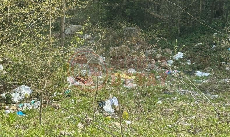 Yaylayi Copluge Donusturduler (1)