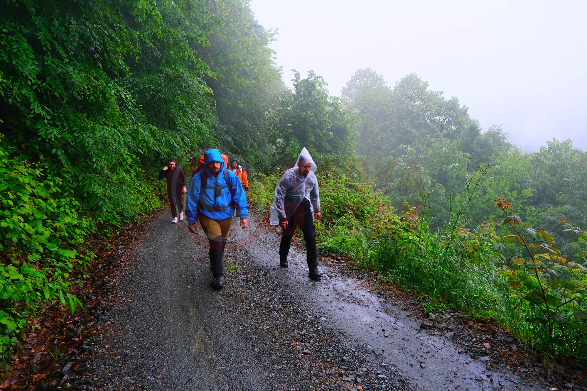 Doğa (1)-3