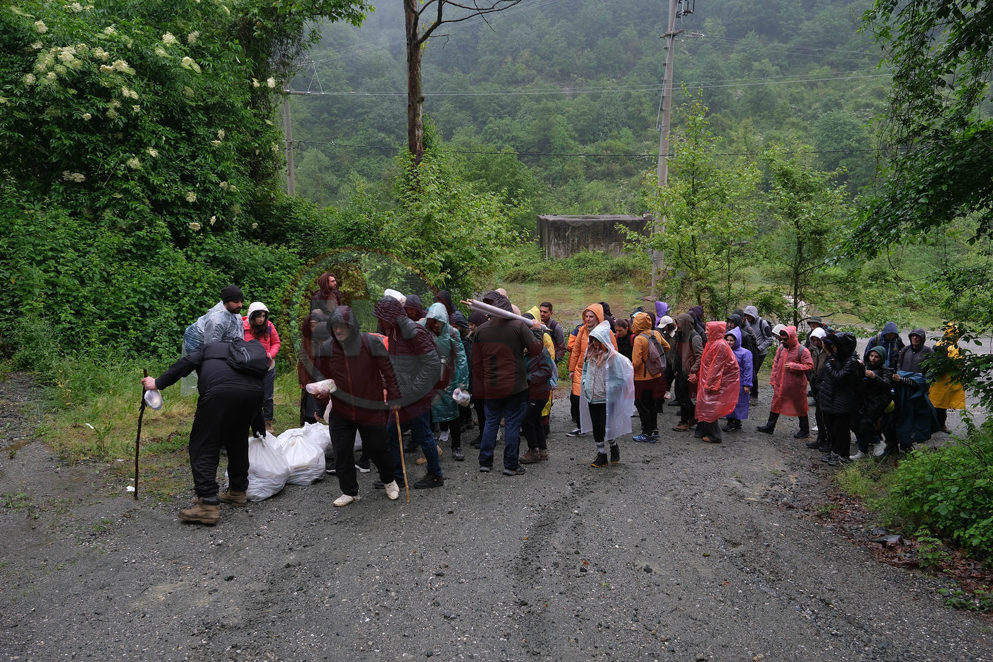 Doğa (3)-2