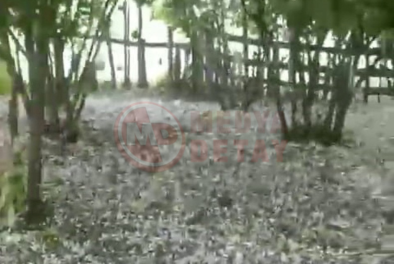 Sakarya Da Saganak Dolu Firtina Bir Arada2