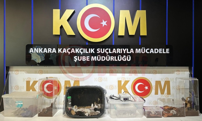 Satisi Yasak Olan Hayvanlari Ulkeye Getirip Uretip Satiyorlardi