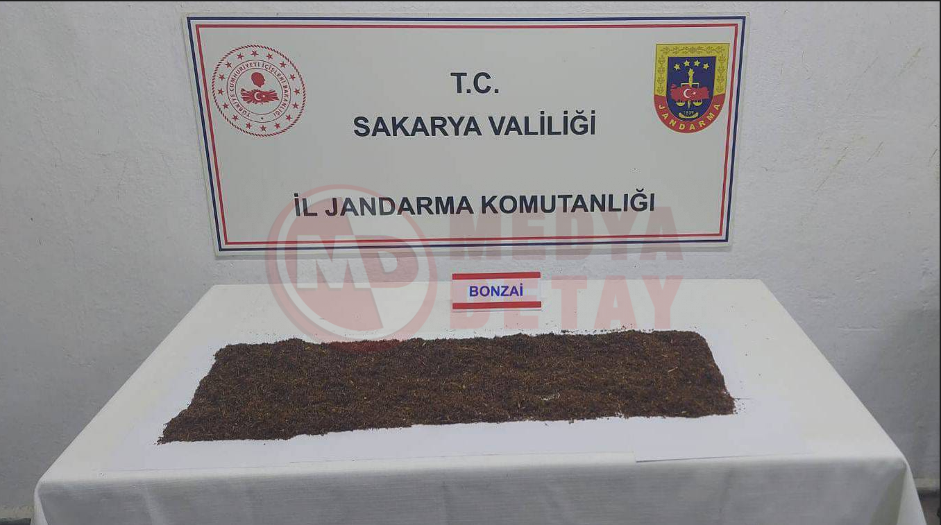 Uyuşturucu (1)-2
