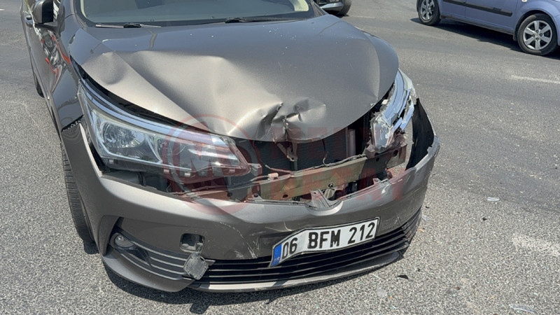 Kavsakta Carpistilar4-1