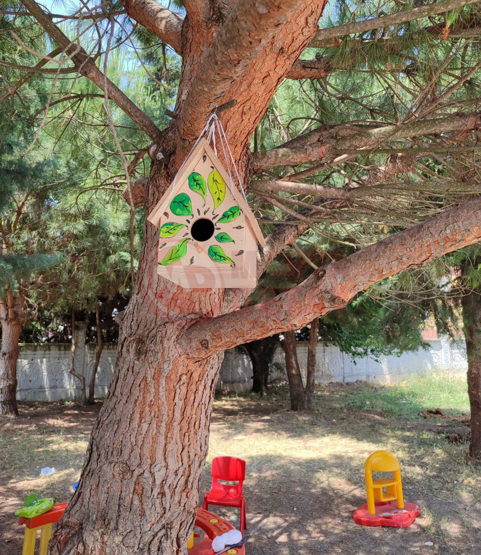 Kuş (2)