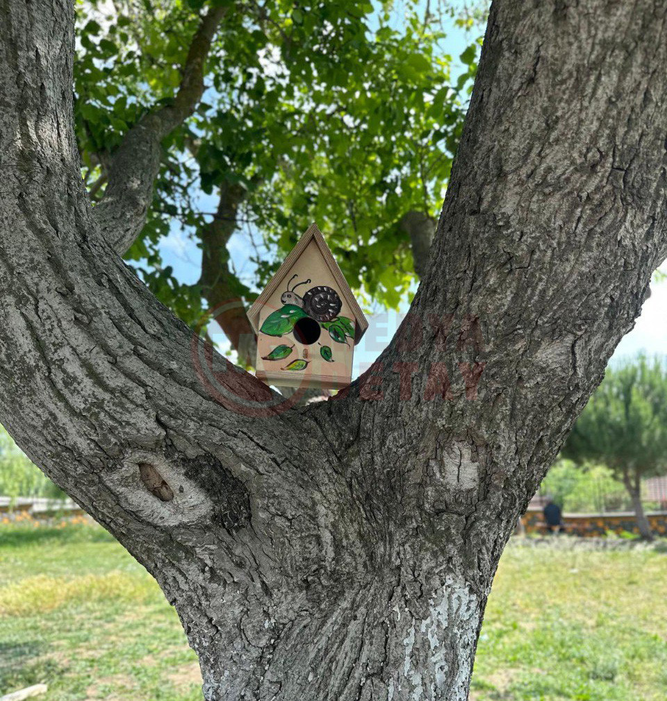 Kuş (3)