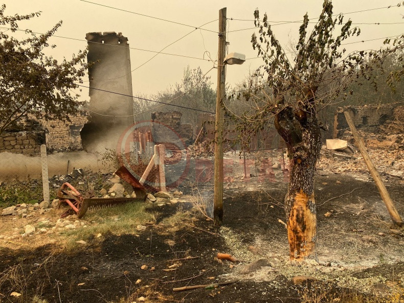 Sakarya Yangin Bilecik Sicradi Koy Kul Oldu (1)