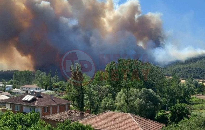 Sakarya Yangini Osmaneli Sicradi (3)