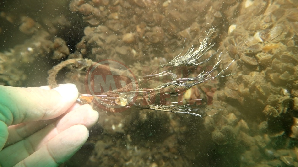 Sapanca Gölü (4)