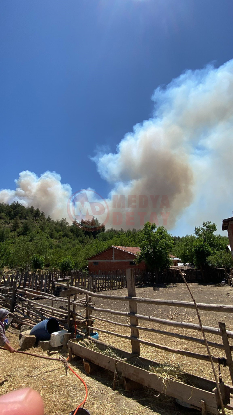 Tarakli Orman Yanginii3