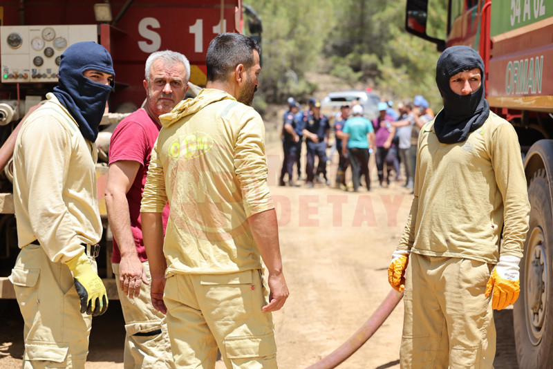 Tarakli Orman Yanginii4