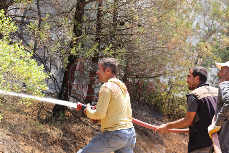 Tarakli Orman Yanginii5