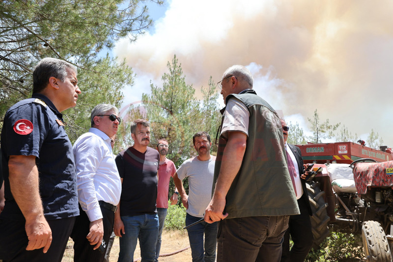 Tarakli Orman Yanginii6